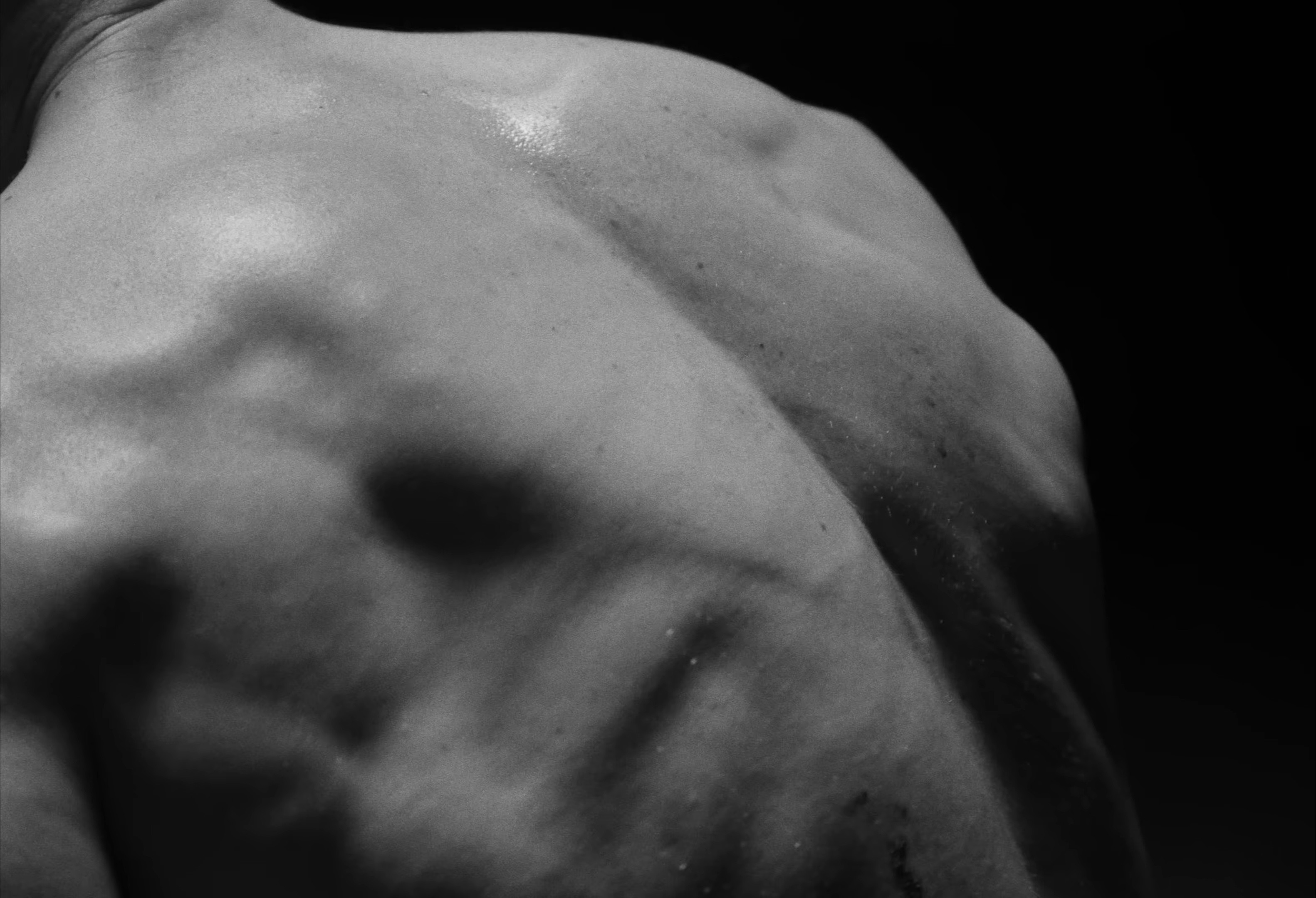 Open Fields (2025) —  shot,  lighting