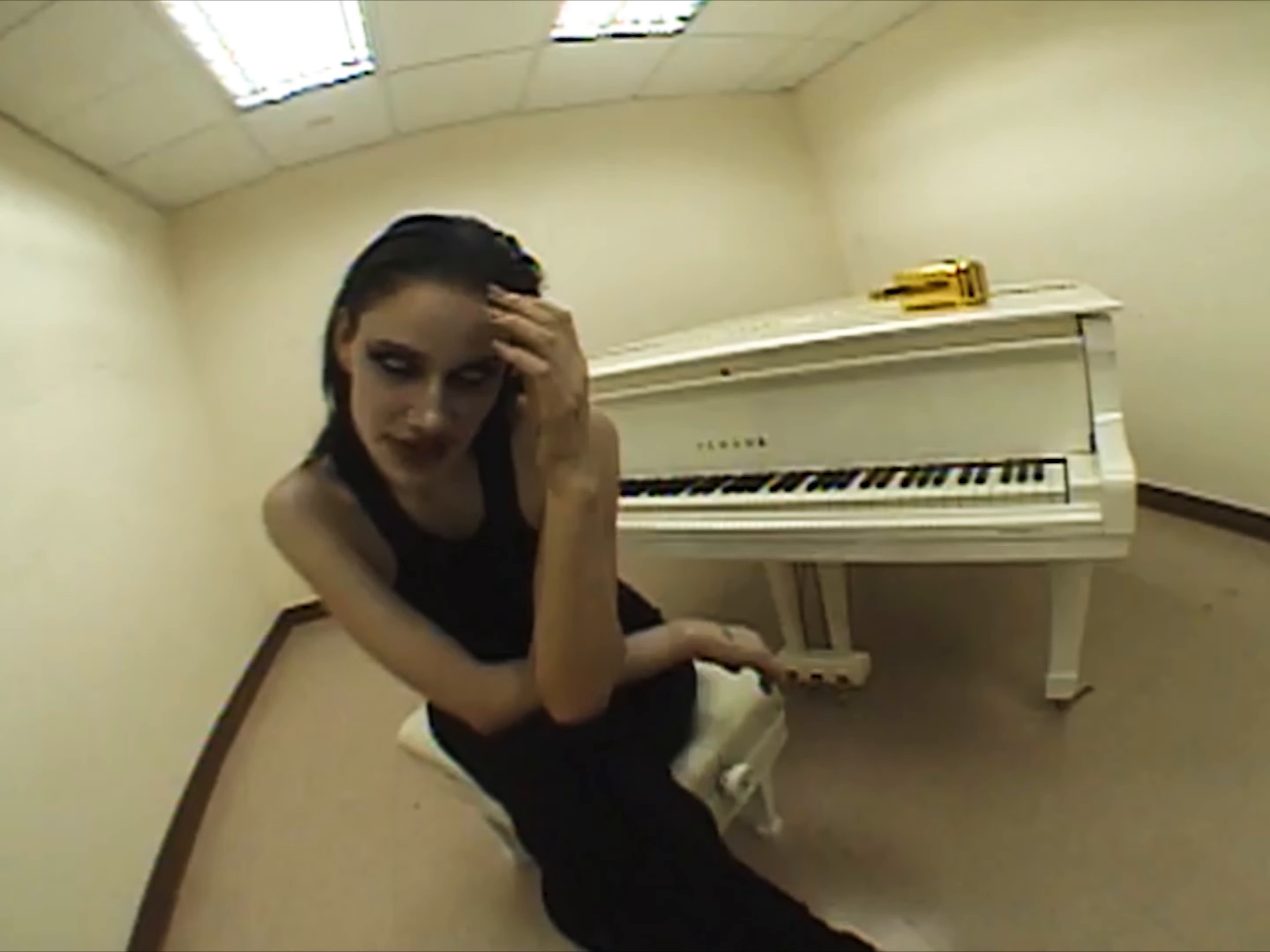 Piano and Great Danes (2025) —  shot,  lighting