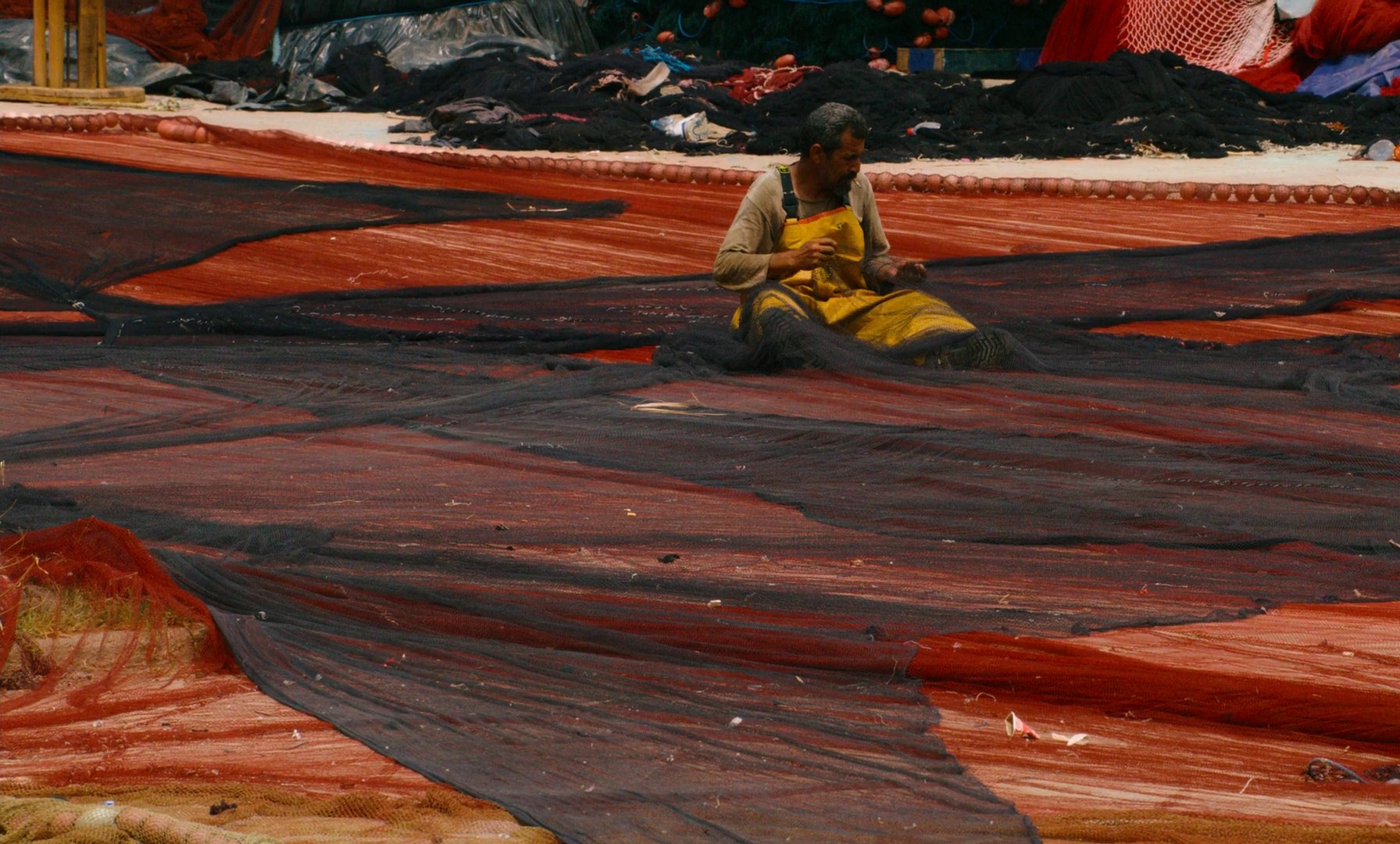 The King of Algiers (2023) —  shot,  lighting