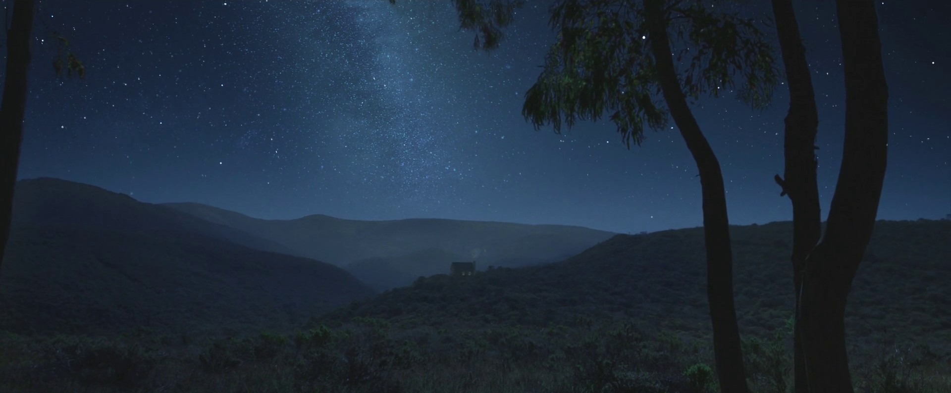 Overgrown (2013) —  shot,  lighting