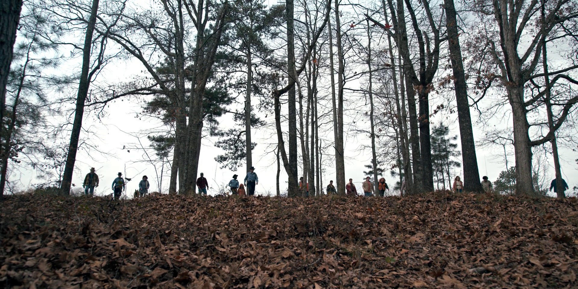 Chapter Two: The Weirdo on Maple Street (2016) —  shot,  lighting