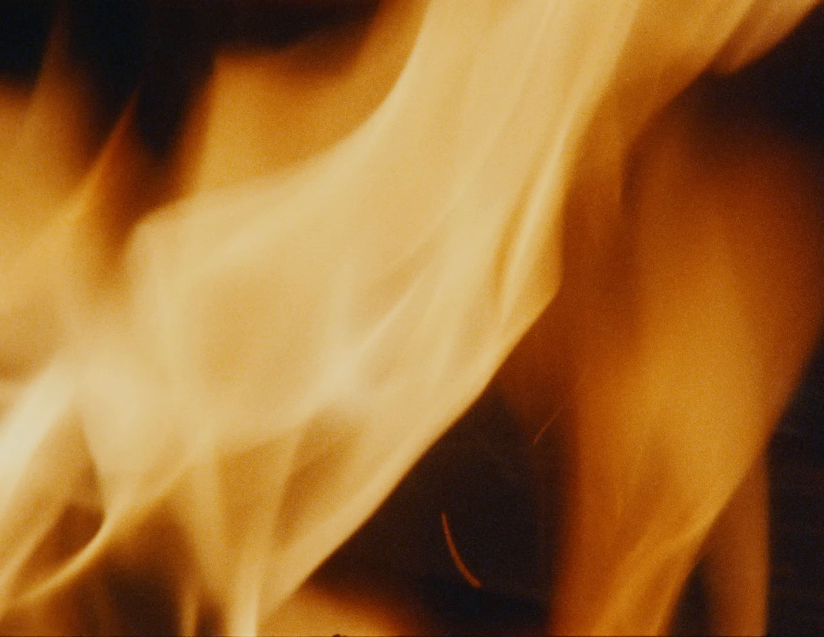 Original (2025) —  shot,  lighting