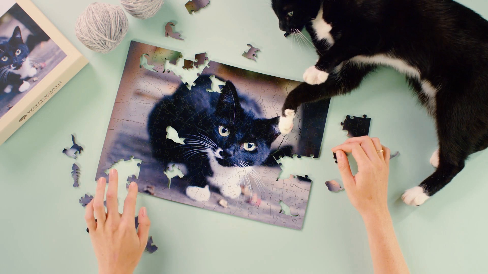 Wentworth Wooden Puzzles TVC (2018) —  shot,  lighting