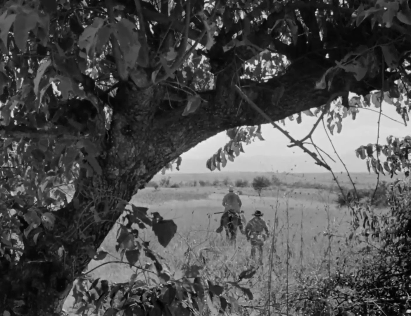 The Pearl (1950) —  shot,  lighting