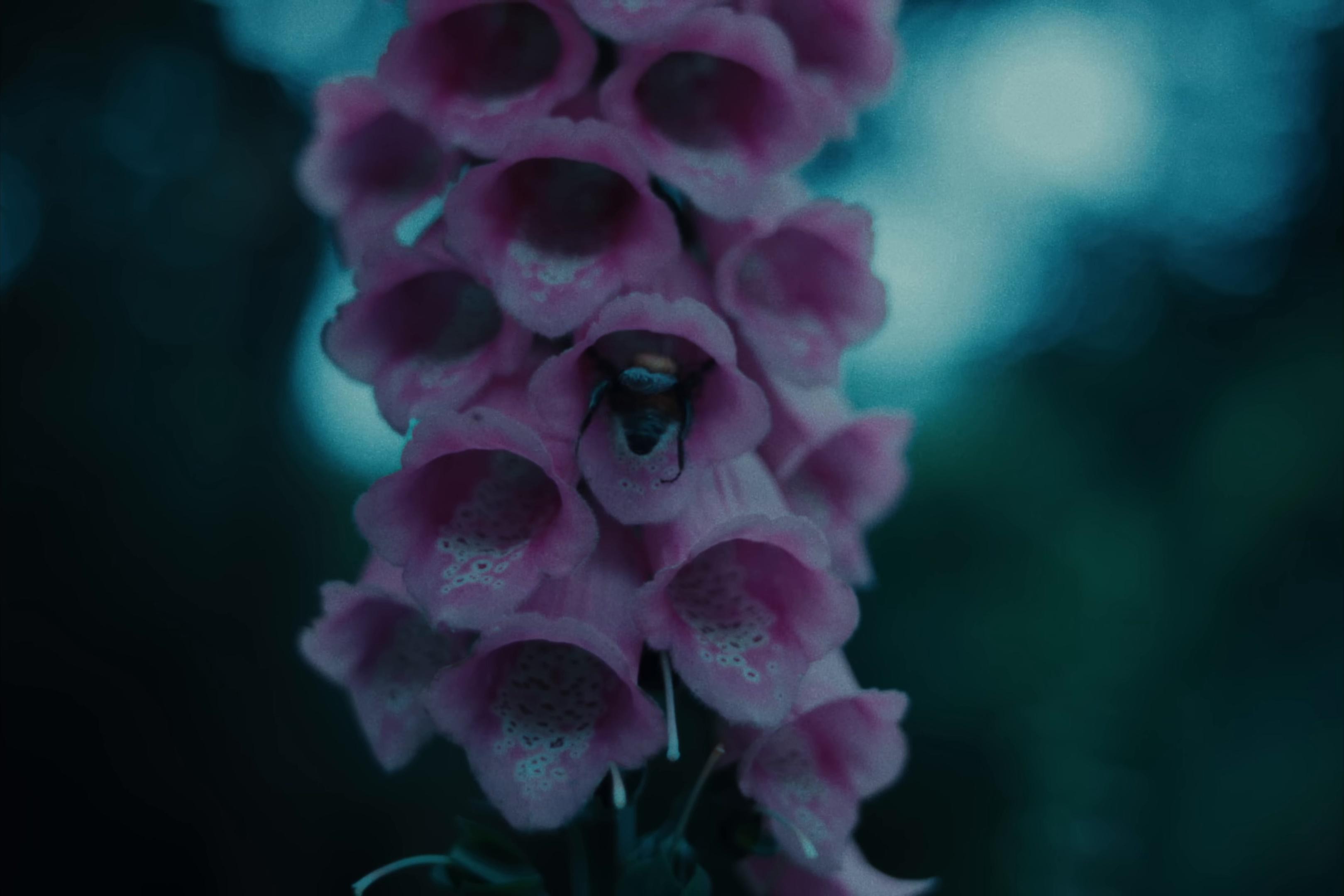 Into Hell (2025) —  shot,  lighting