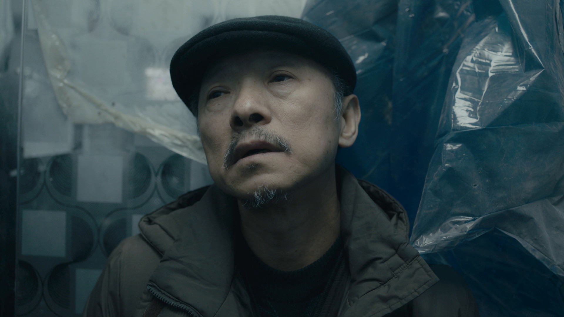 An Elephant Sitting Still (2019) —  shot,  lighting