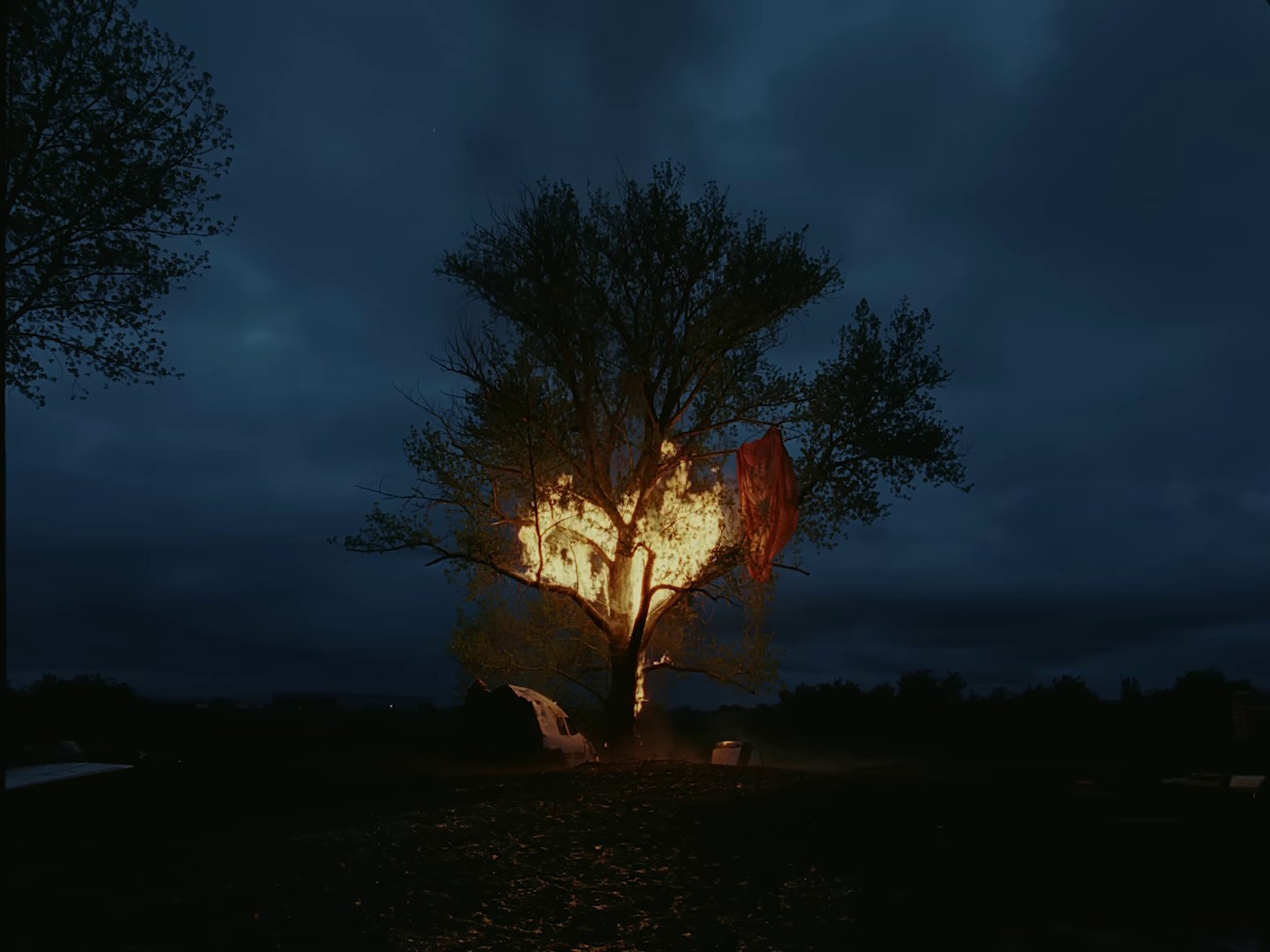 Black Dress (2023) —  shot,  lighting