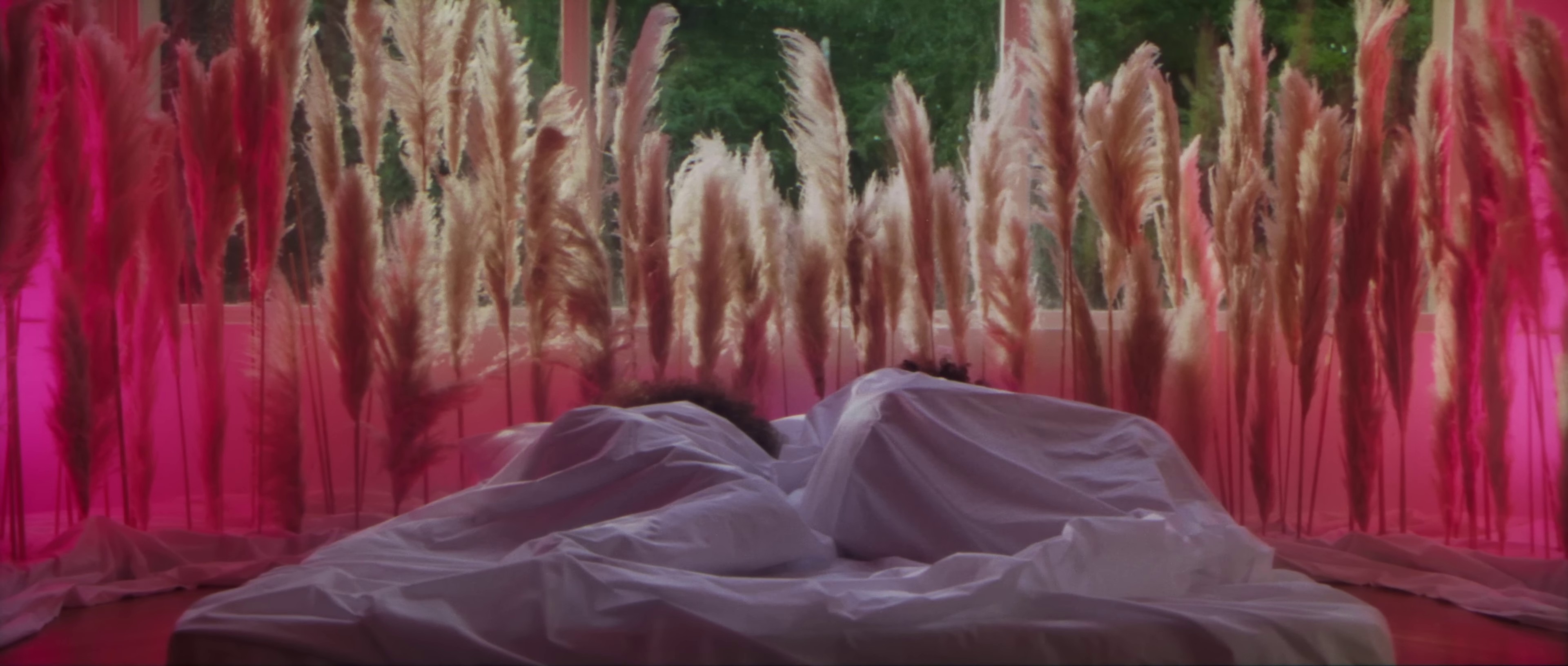 Love Quotes  (2022) —  shot,  lighting