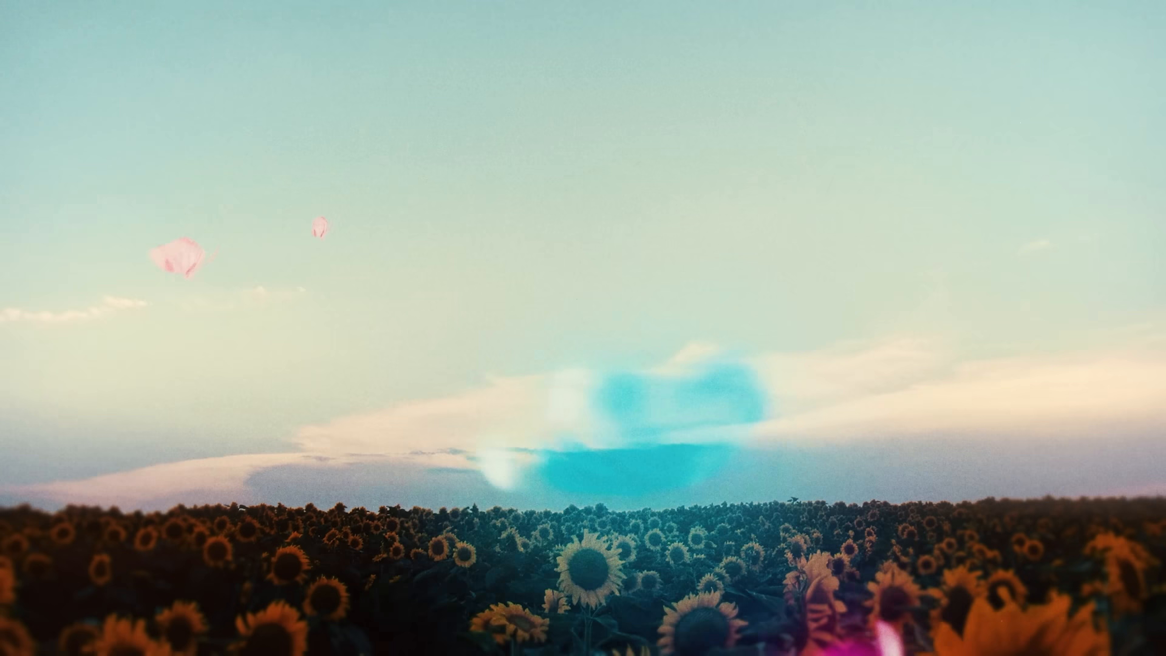 AMISS (2025) —  shot,  lighting