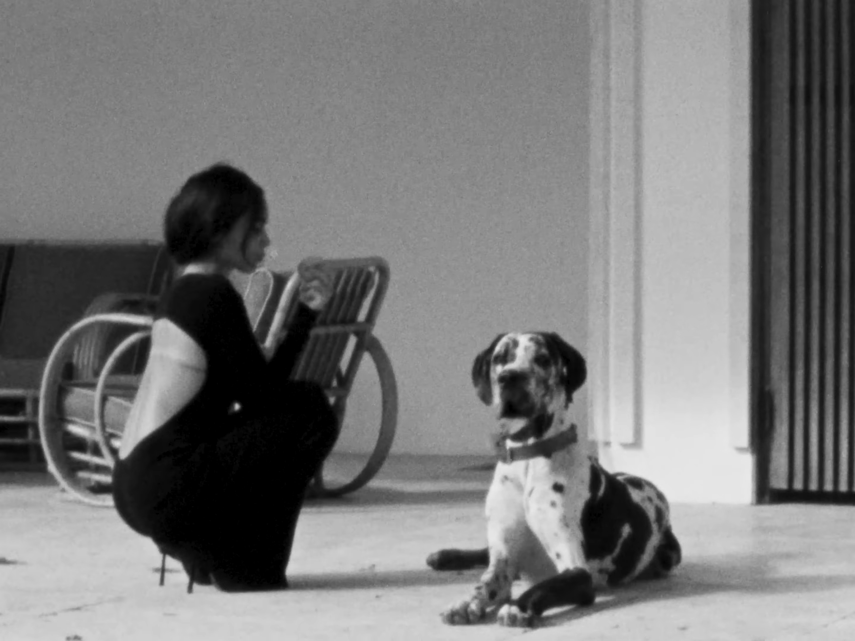 SAINT LAURENT - ZOË BY PURIENNE (2024) —  shot,  lighting