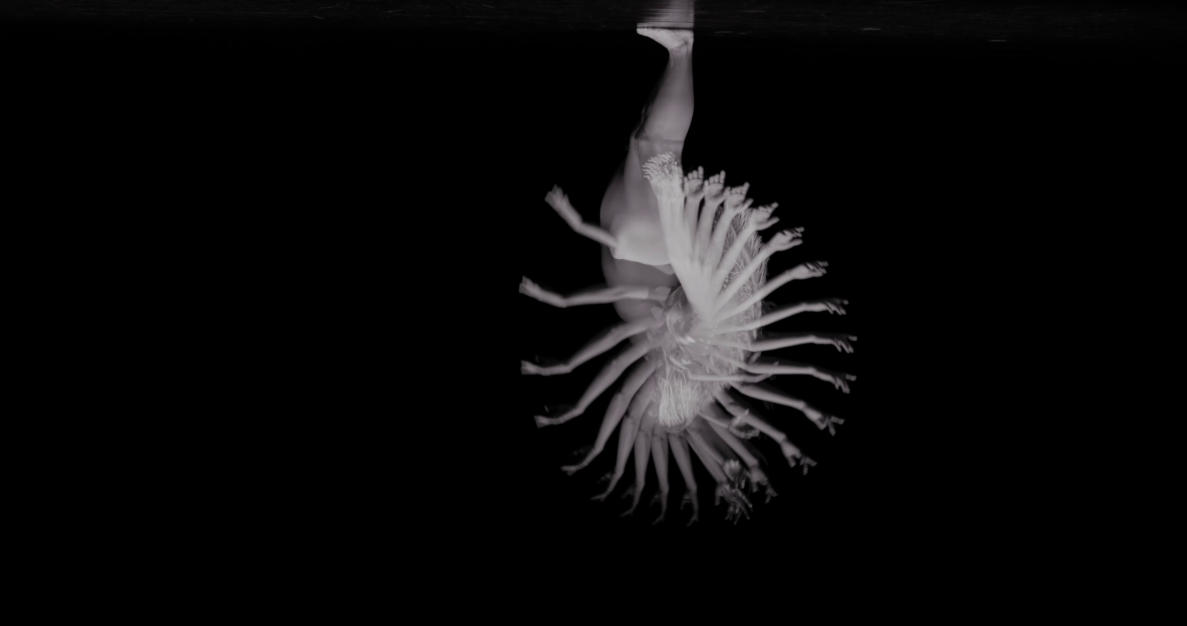 Sébastien Guérive  (2021) —  shot,  lighting