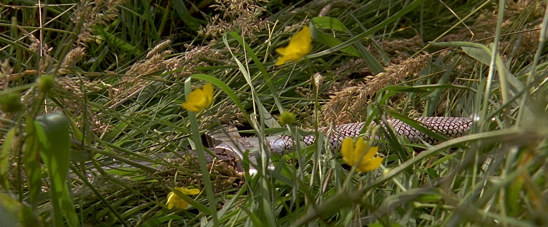 The Messenger: The Story of Joan of Arc (1999) —  shot,  lighting