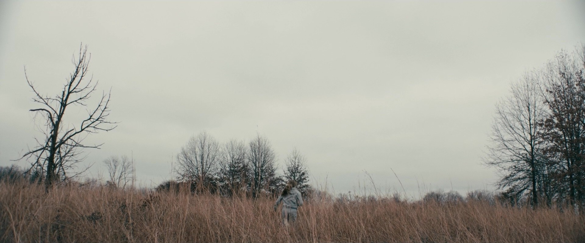 Rust Creek (2018) —  shot,  lighting