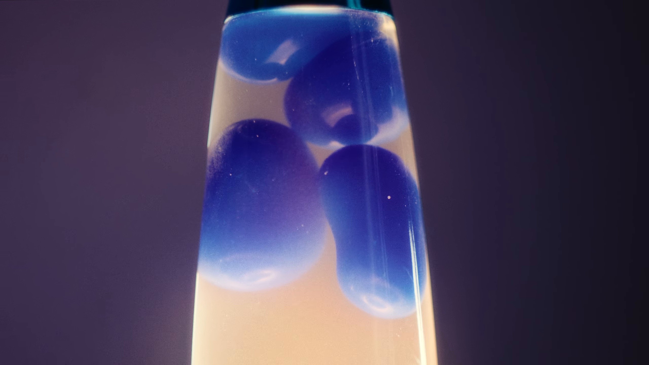 Stacy's Chips (2024) —  shot,  lighting