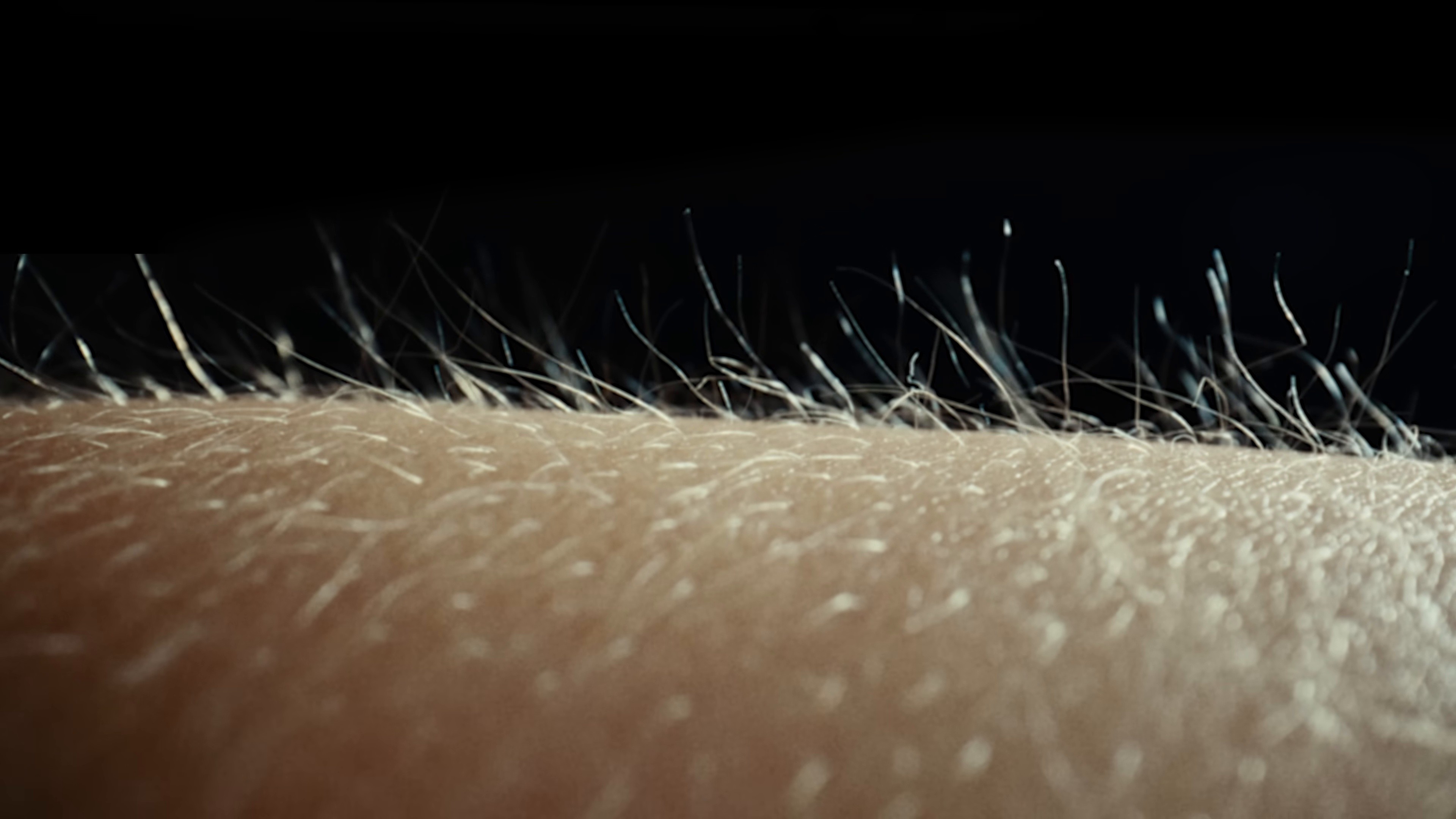 Push The Tempo (2024) —  shot,  lighting