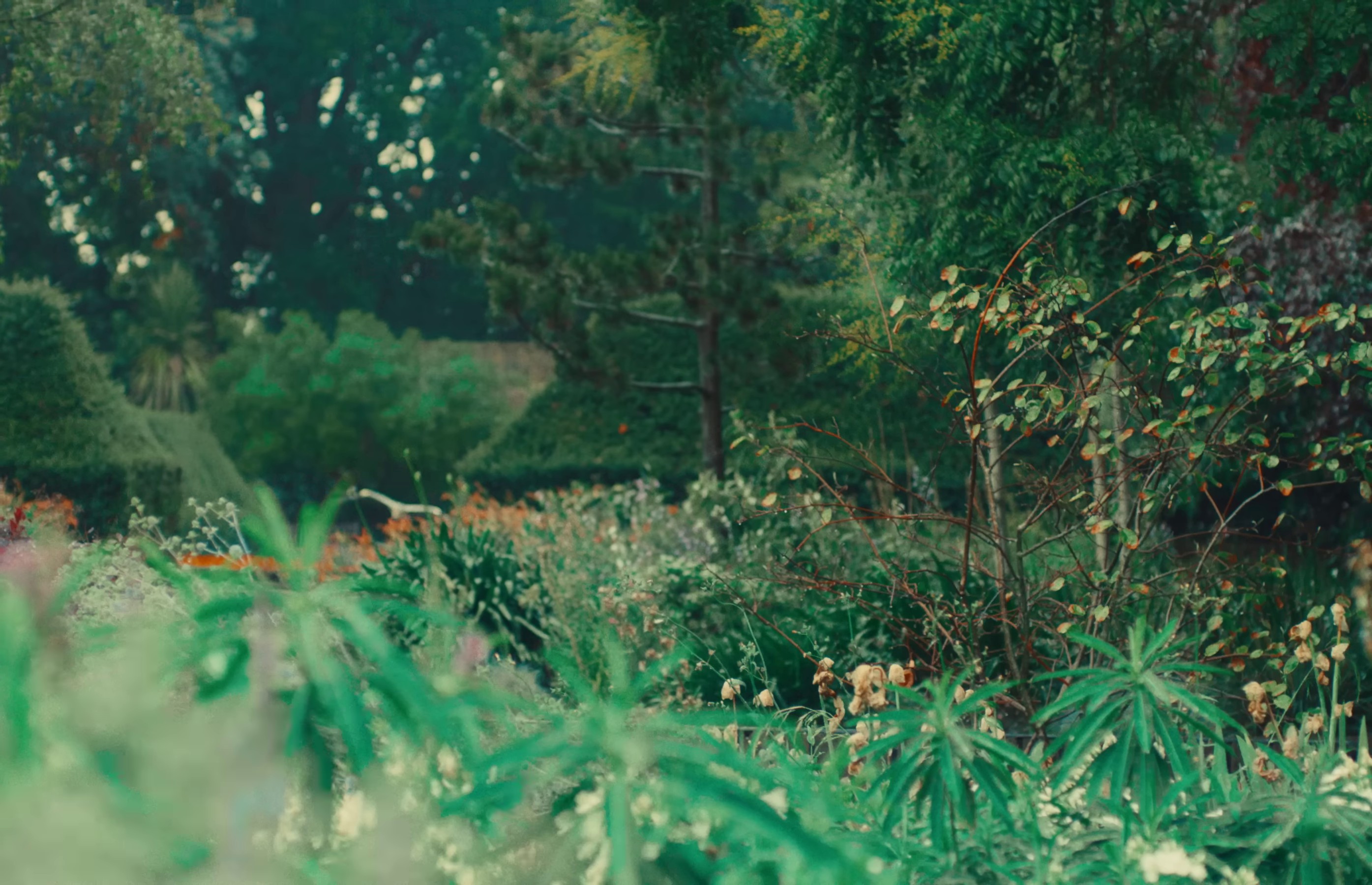 Bewitched (2023) —  shot,  lighting