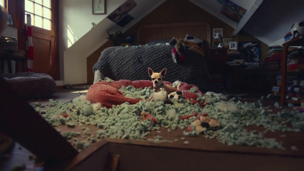 Heineken Cheers to the Real Hardcore Fans (2024) —  shot,  lighting