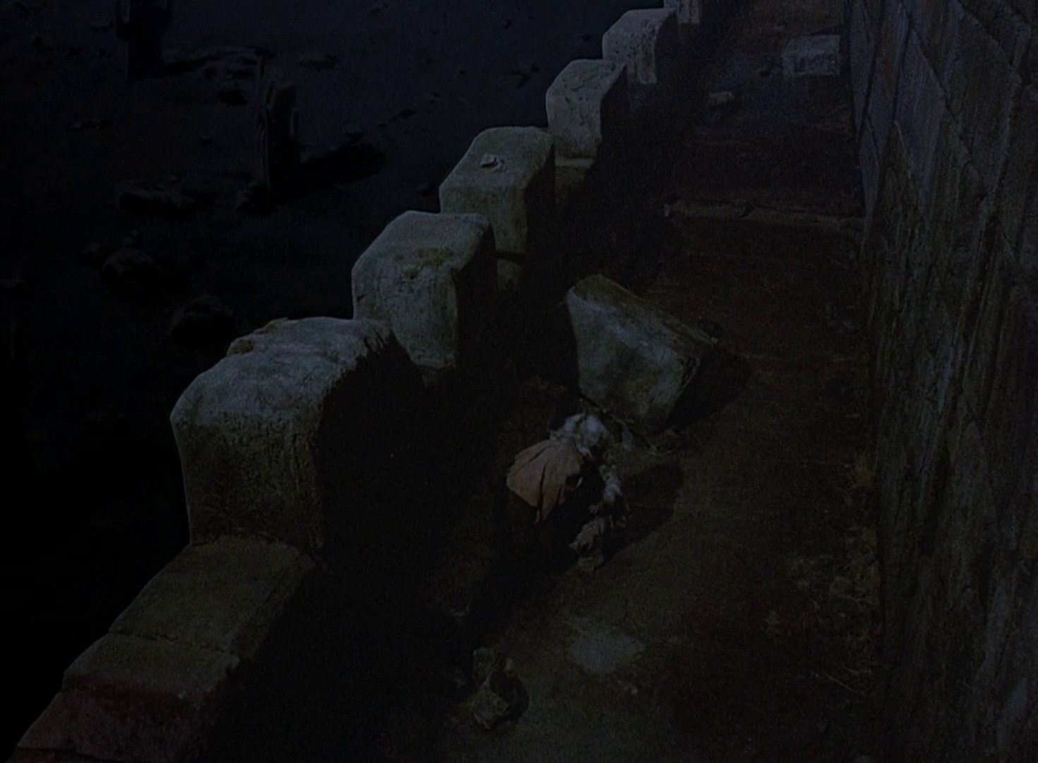 Ewoks: The Battle for Endor (1985) —  shot,  lighting