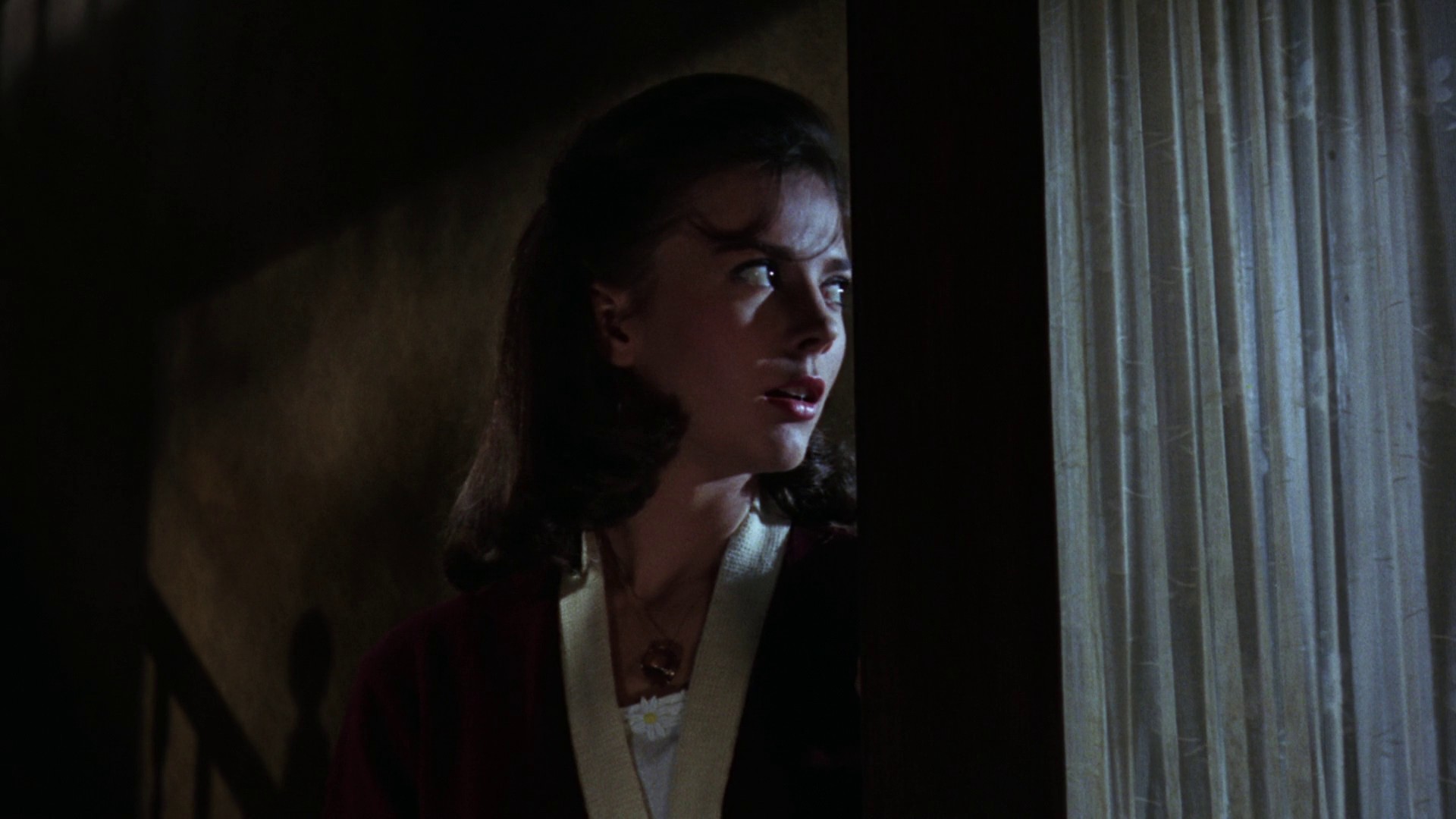 Splendor in the Grass (1961) —  shot,  lighting
