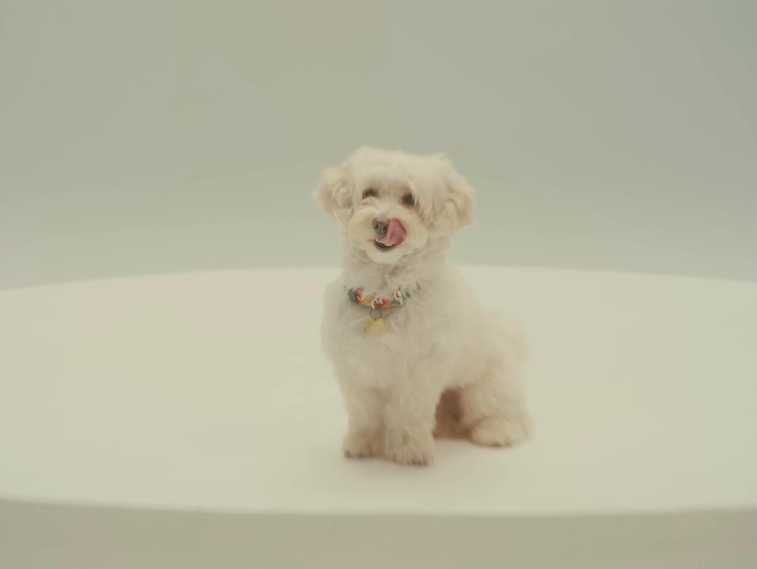 MAIMAI (2025) —  shot,  lighting