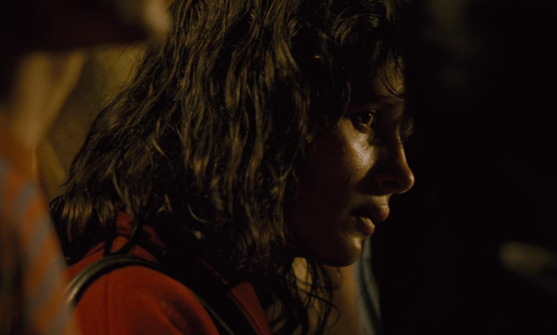 The Lovers on the Bridge (1999) —  shot,  lighting