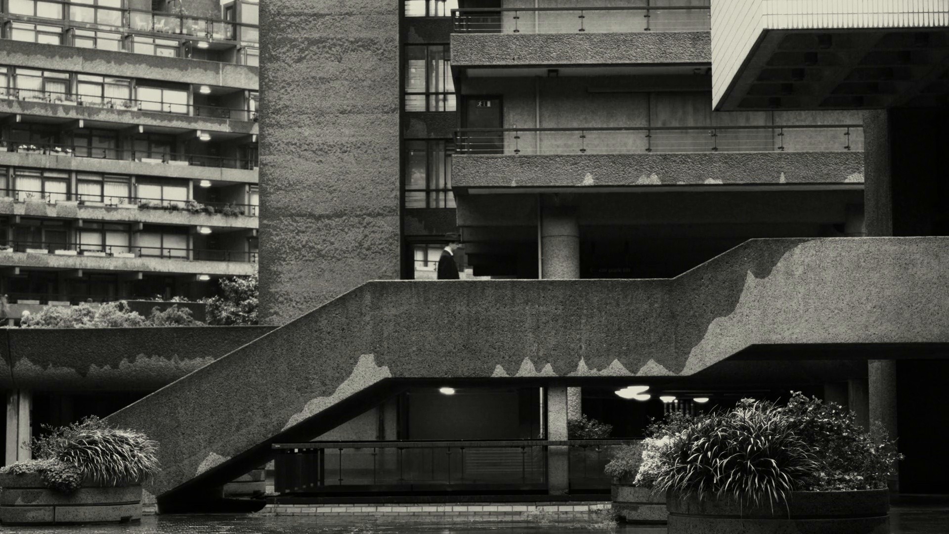 VISION OF ME (2024) —  shot,  lighting