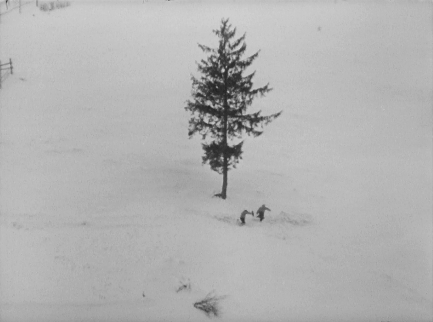 Shadows of Forgotten Ancestors (1965) —  shot,  lighting