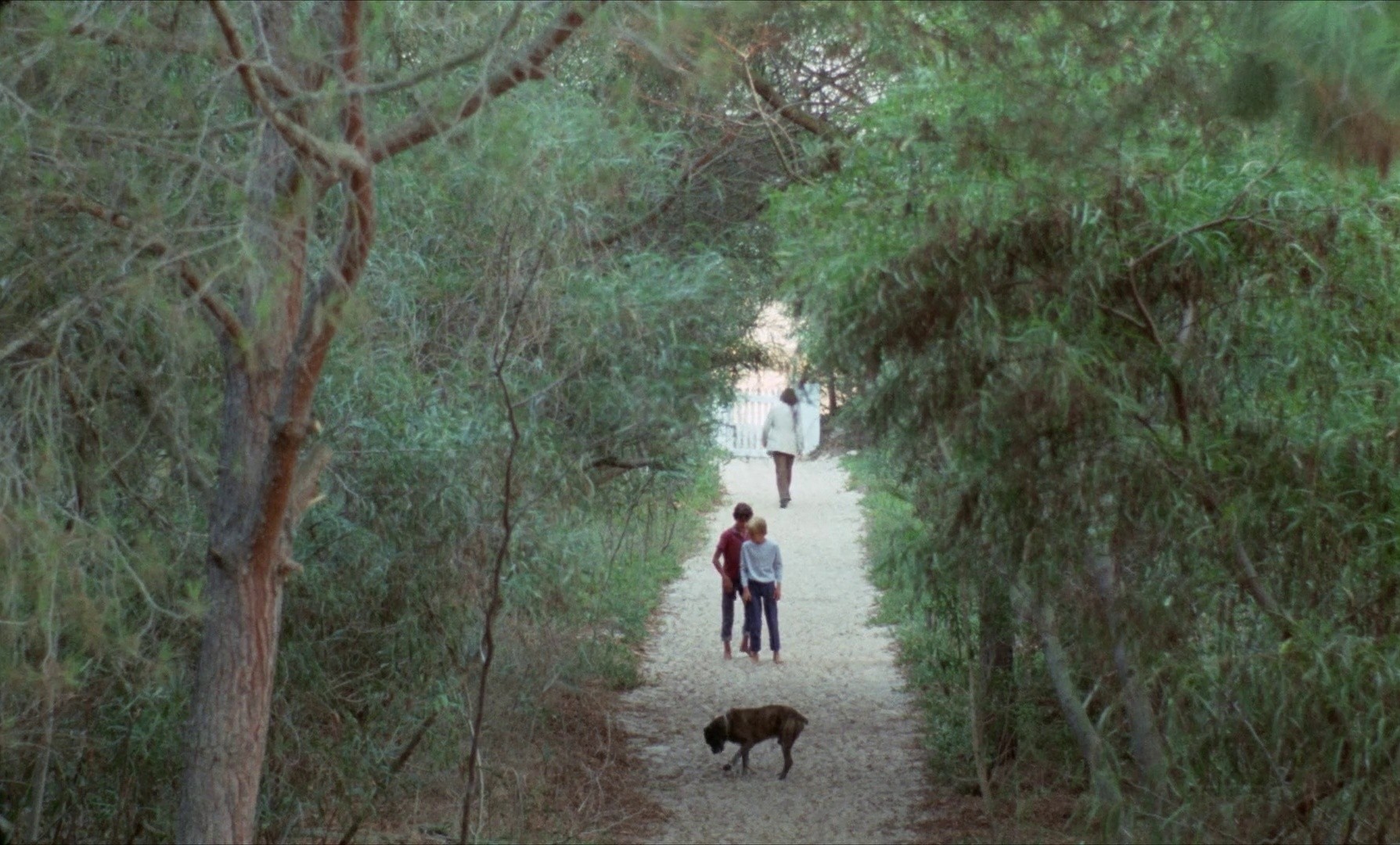 Le clair de terre (1970) —  shot,  lighting