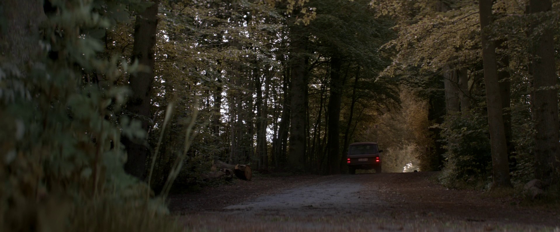 Men & Chicken (2015) —  shot,  lighting