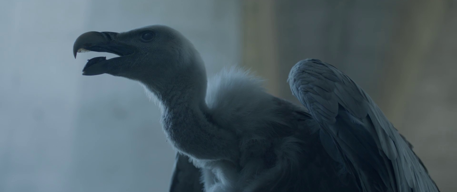 Wait (2012) —  shot,  lighting