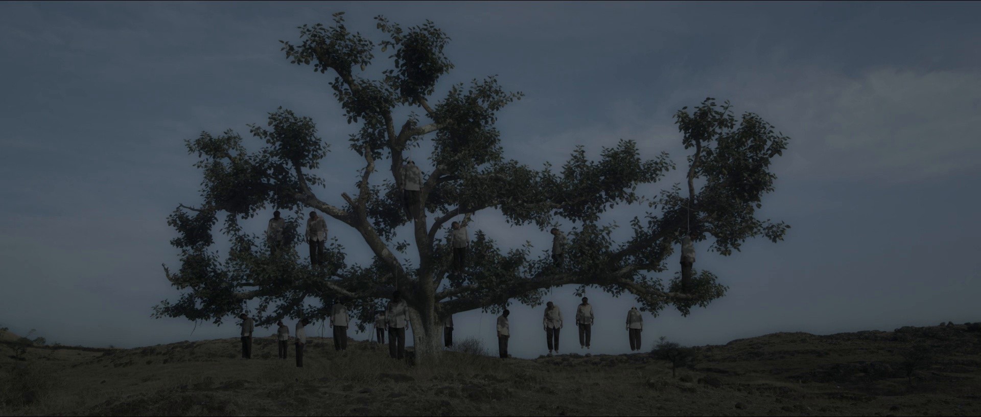 The Quest (2017) —  shot,  lighting