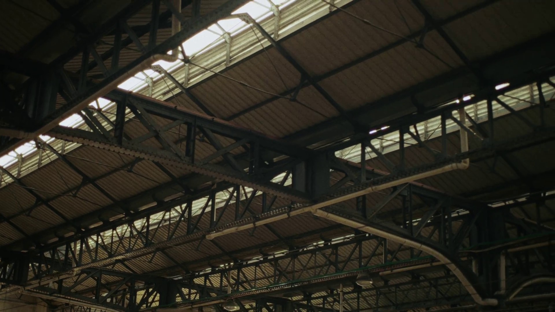 Falling Back (2022) —  shot,  lighting