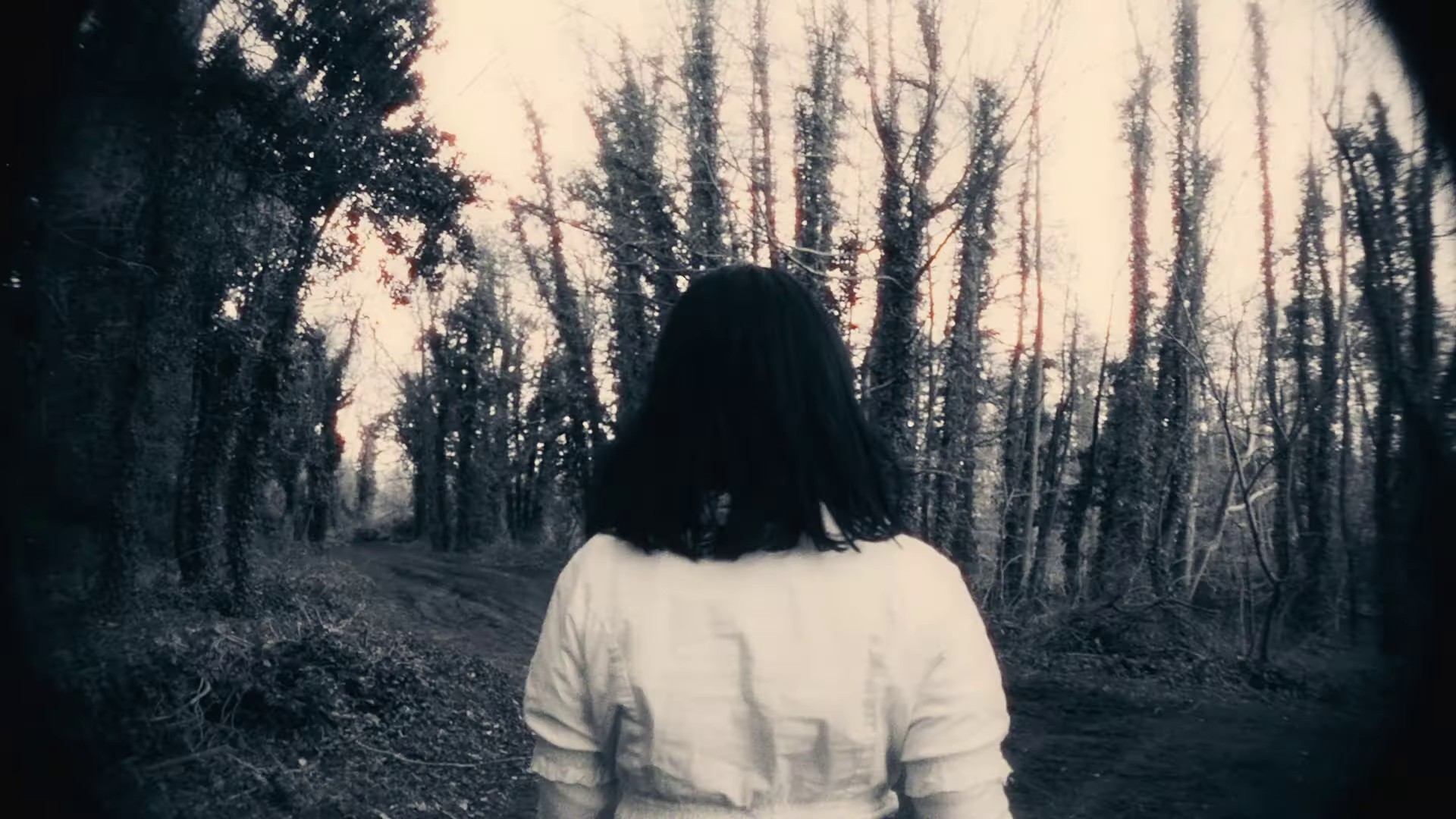 The Dream of Delphi (2024) —  shot,  lighting