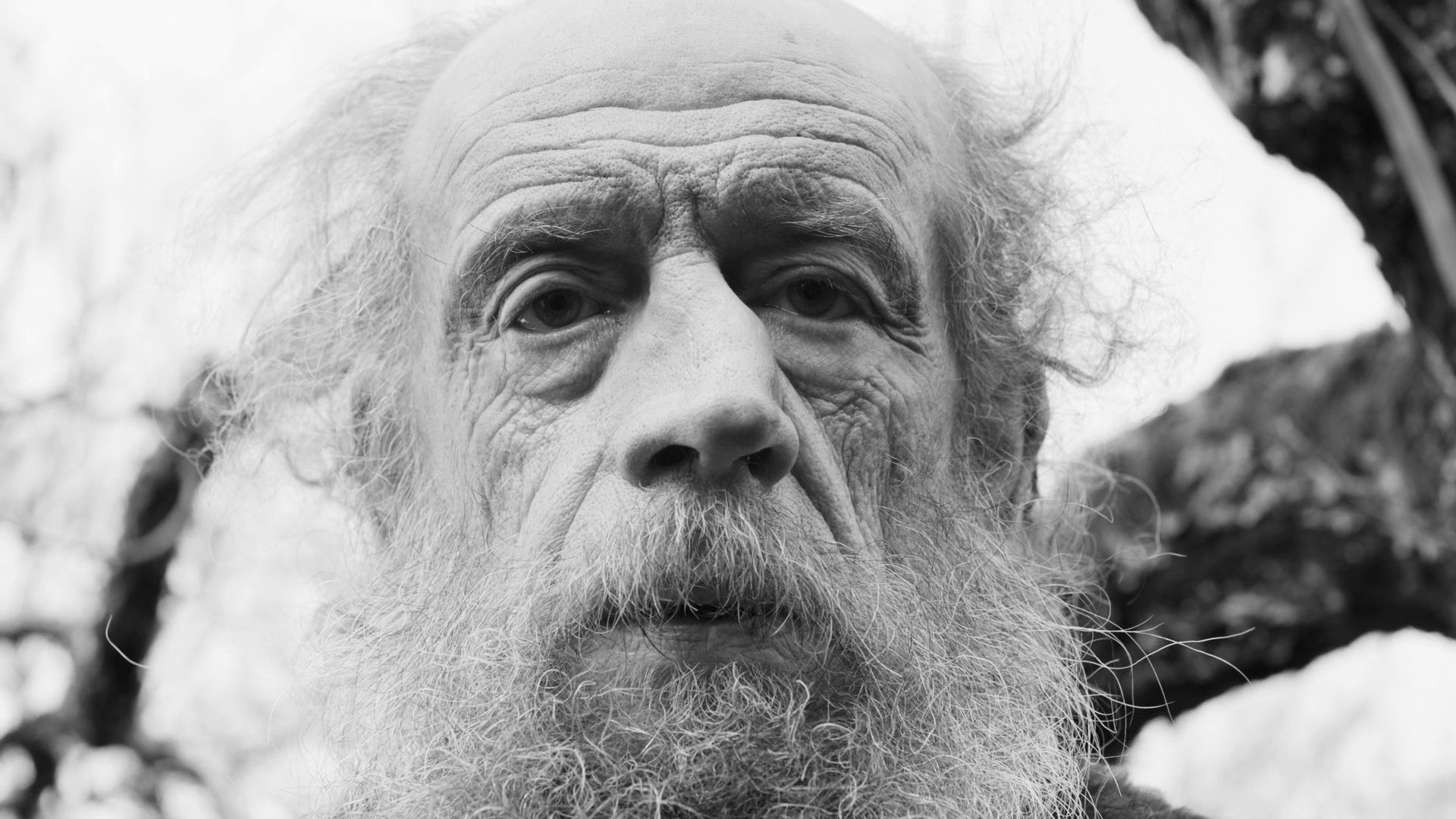 November (2018) —  shot,  lighting