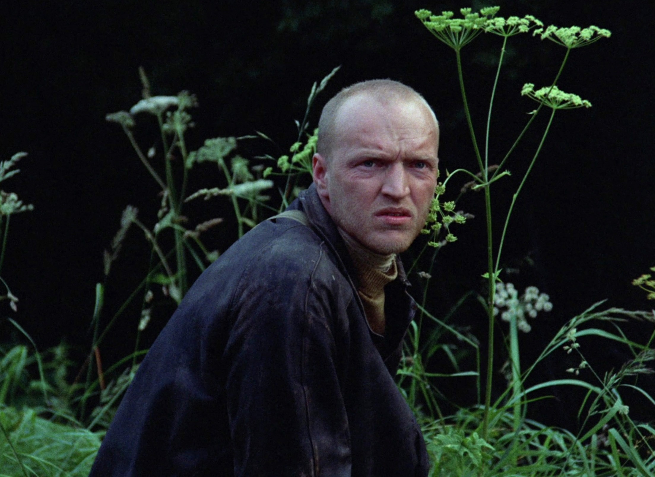 Stalker (1979) —  shot,  lighting