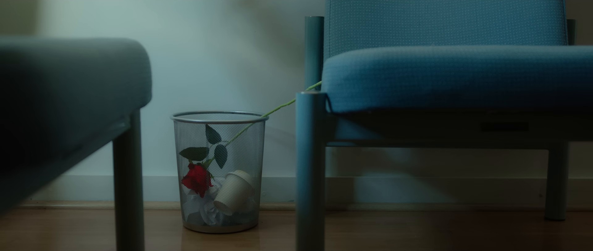 Discothèque Inside My Head (2024) —  shot,  lighting