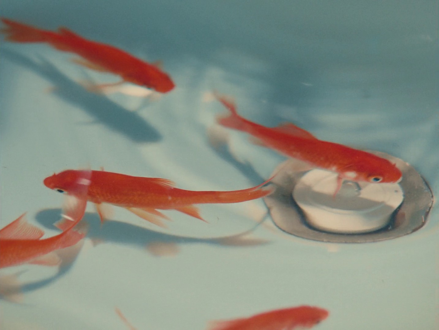 Crosswords (2020) —  shot,  lighting