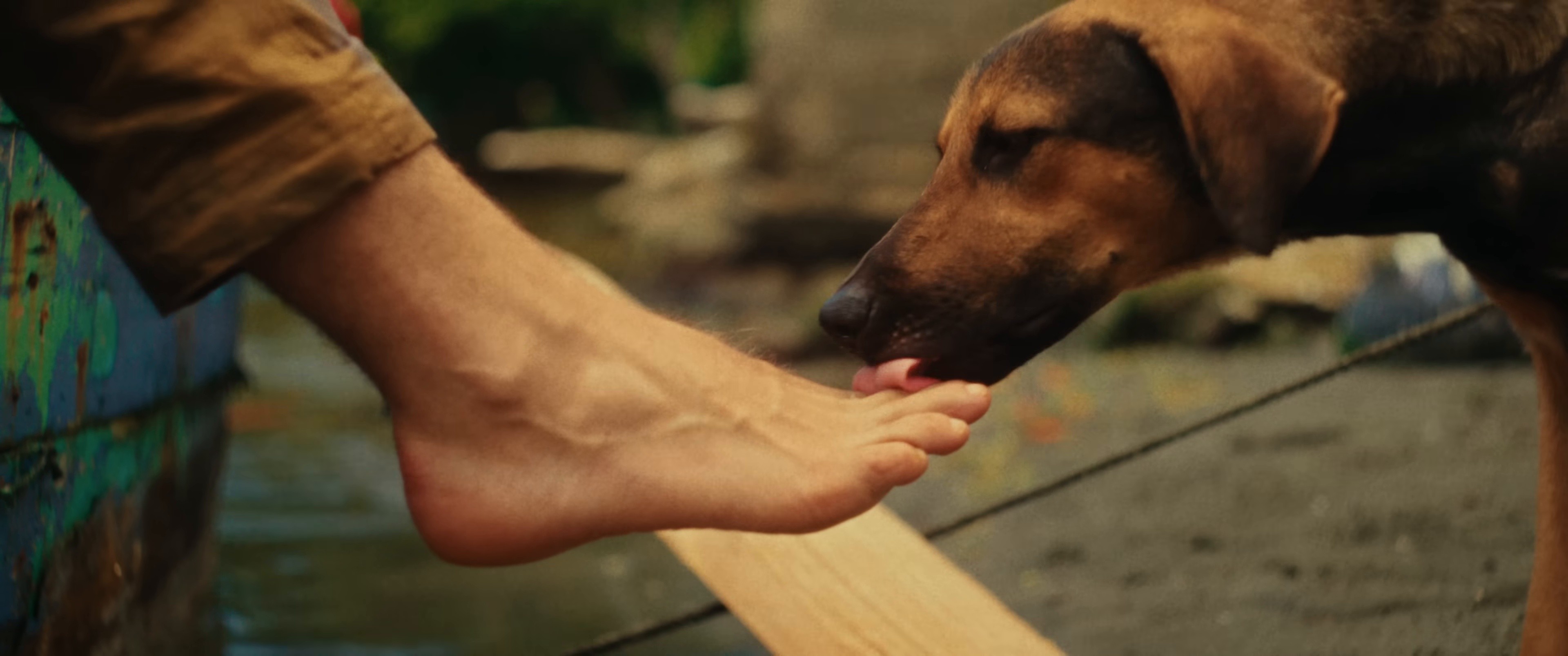 WORLD ON FIRE (2025) —  shot,  lighting