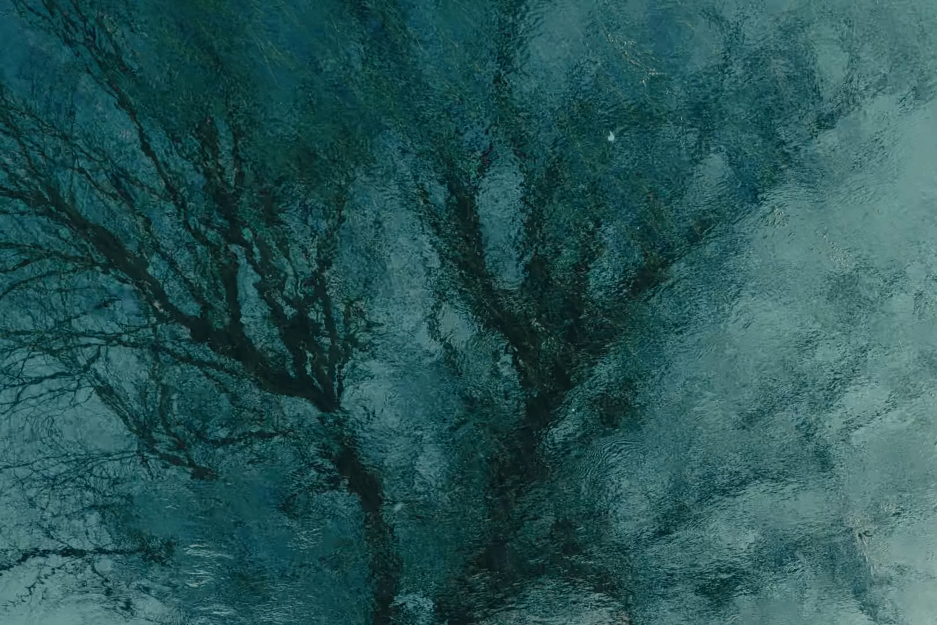 25 (2026) —  shot,  lighting