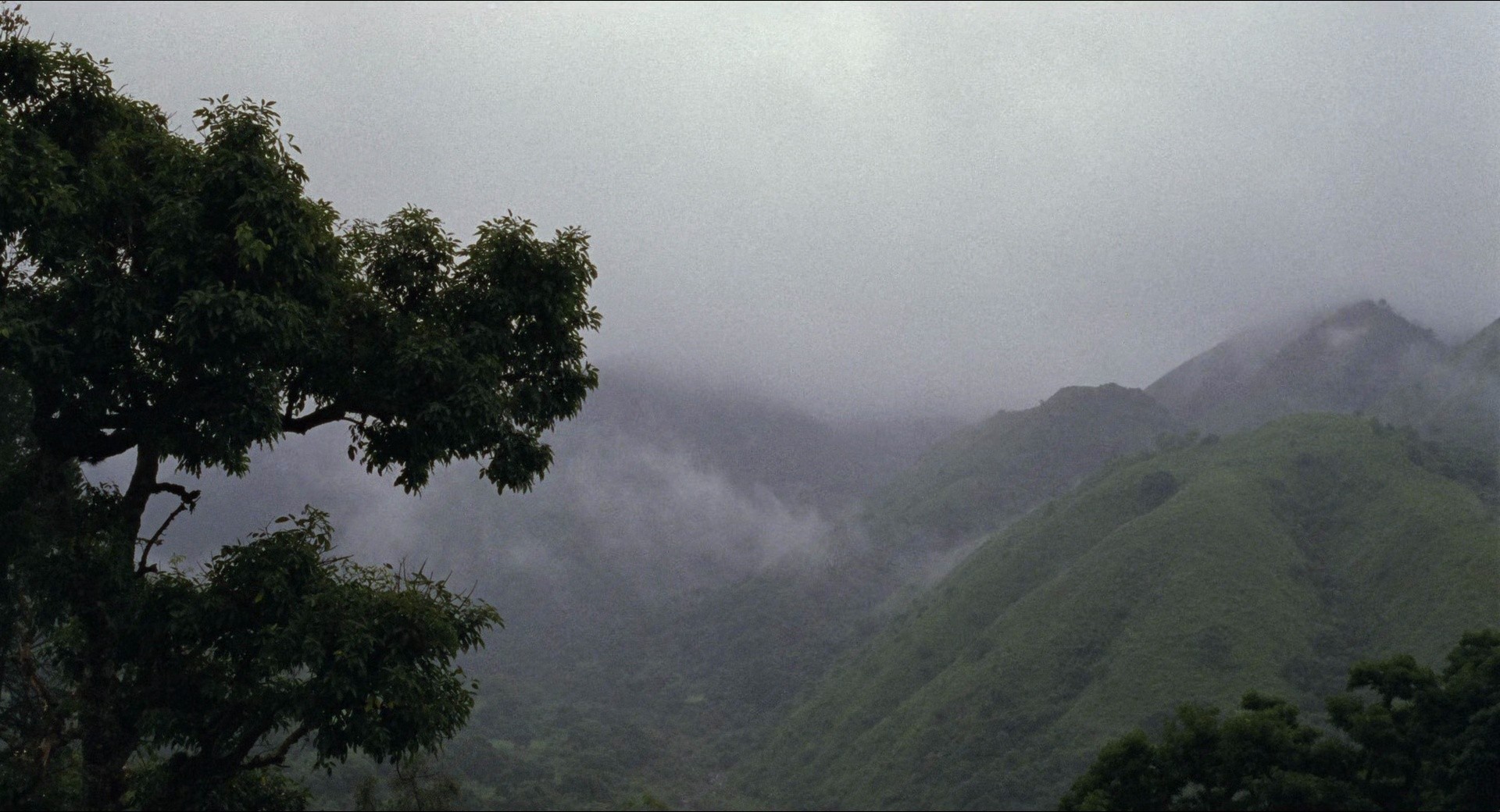 The Swamp (2002) —  shot,  lighting