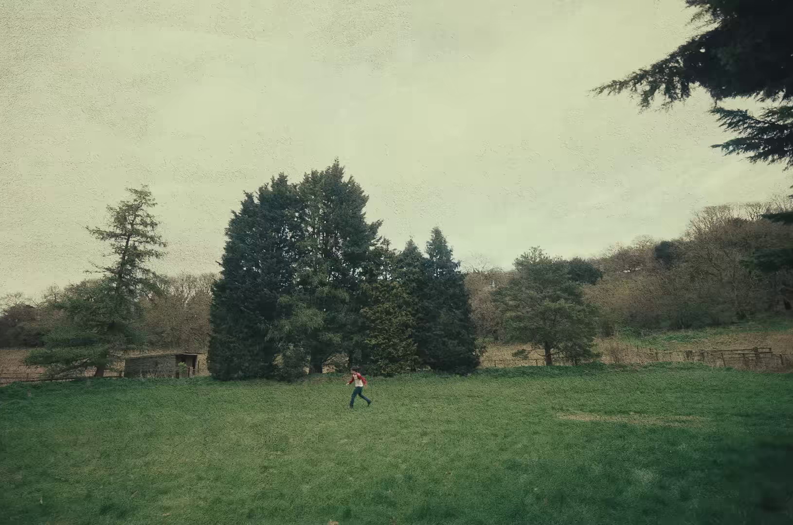 Hello Lonely (2024) —  shot,  lighting