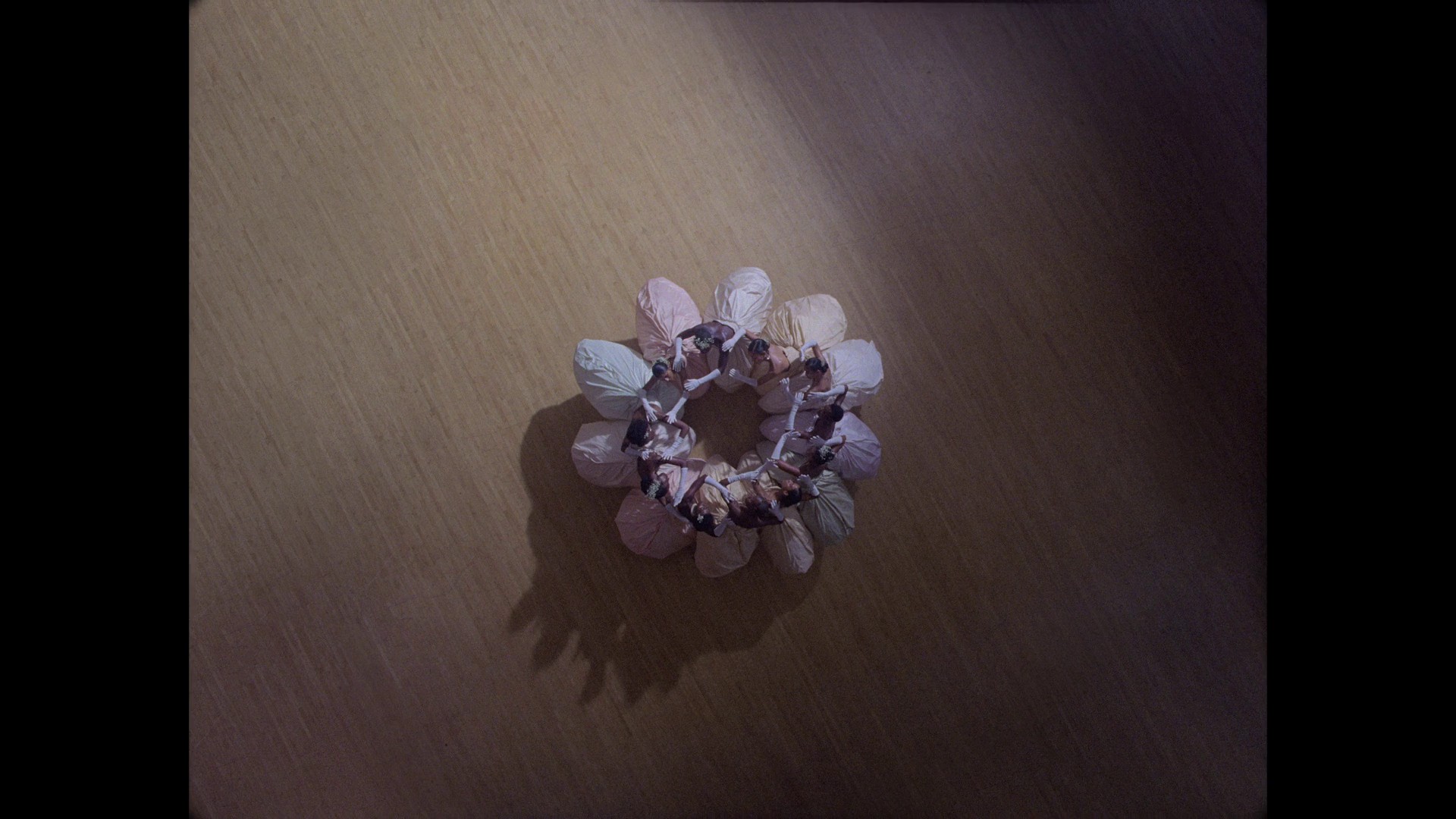 Black Is King (2020) —  shot,  lighting