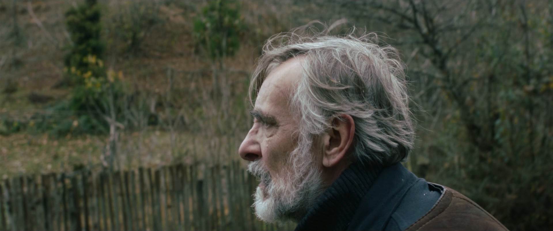 Tangerines (2013) —  shot,  lighting