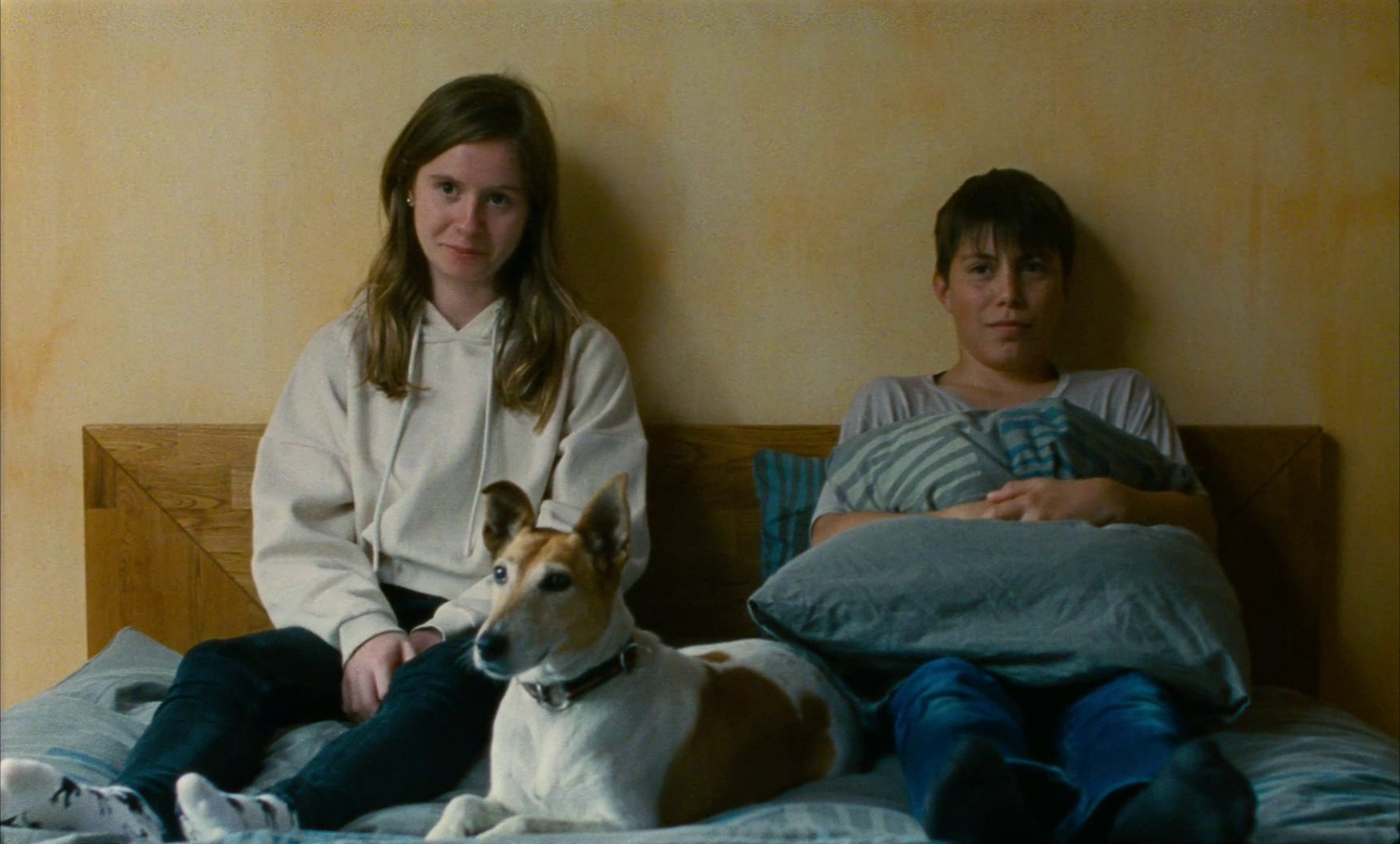 Astrakan (2023) —  shot,  lighting