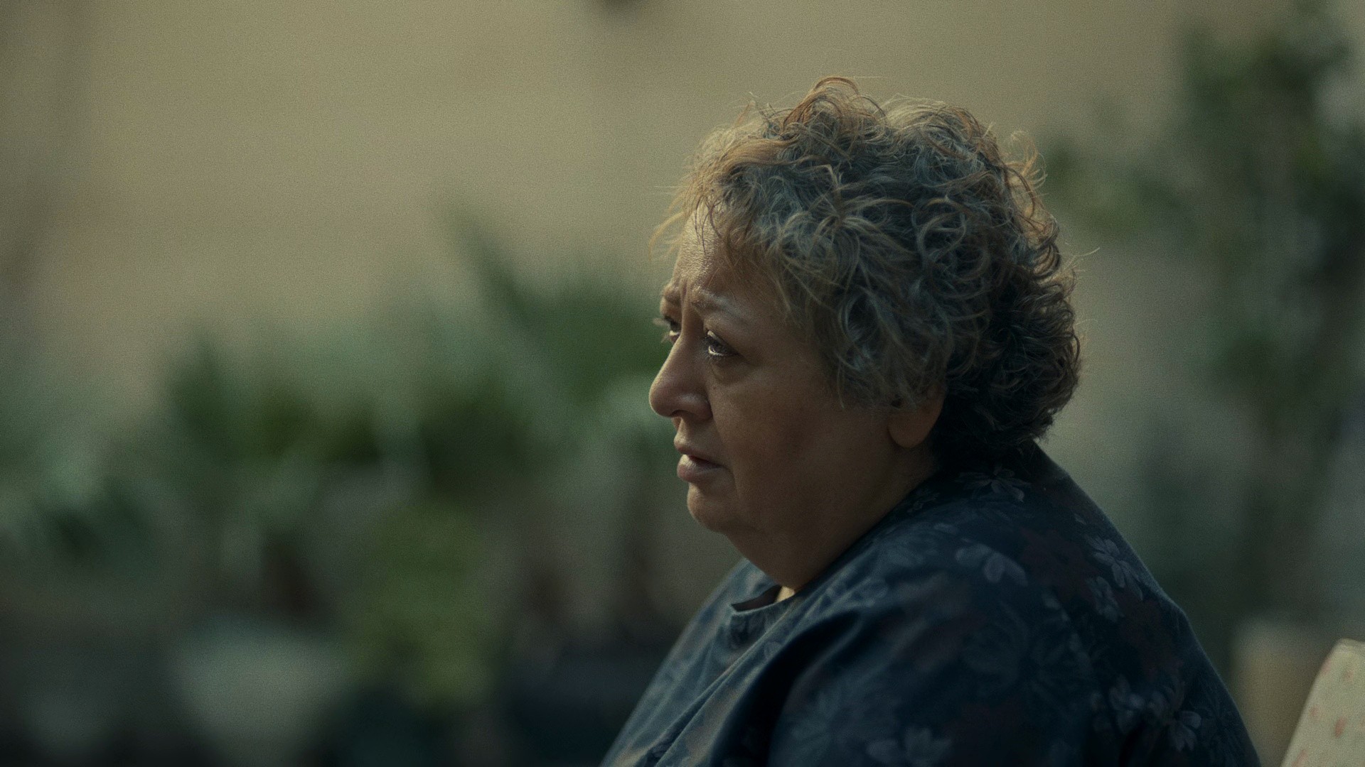 My Favourite Cake (2024) —  shot,  lighting