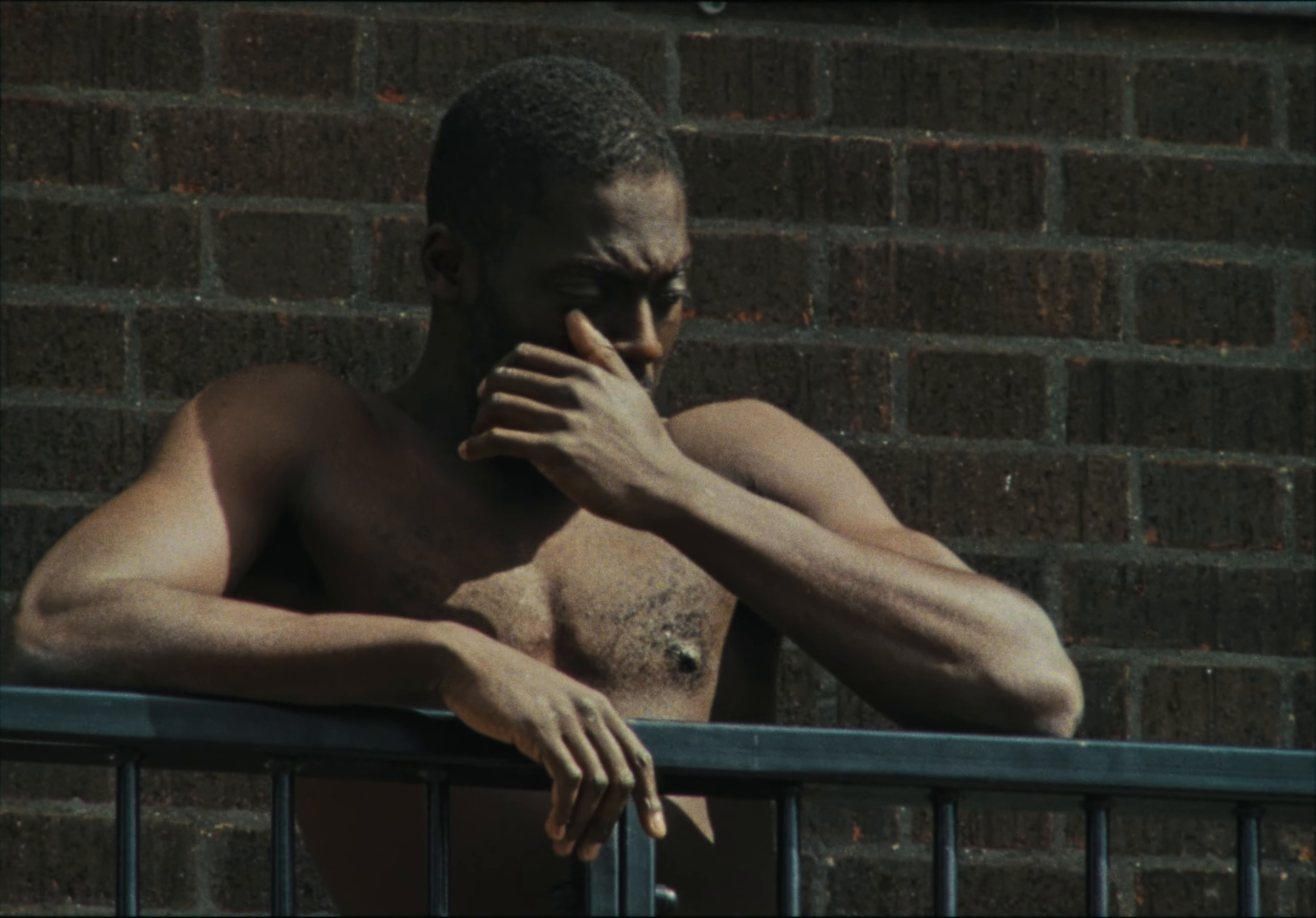 JUNGLE (2025) —  shot,  lighting