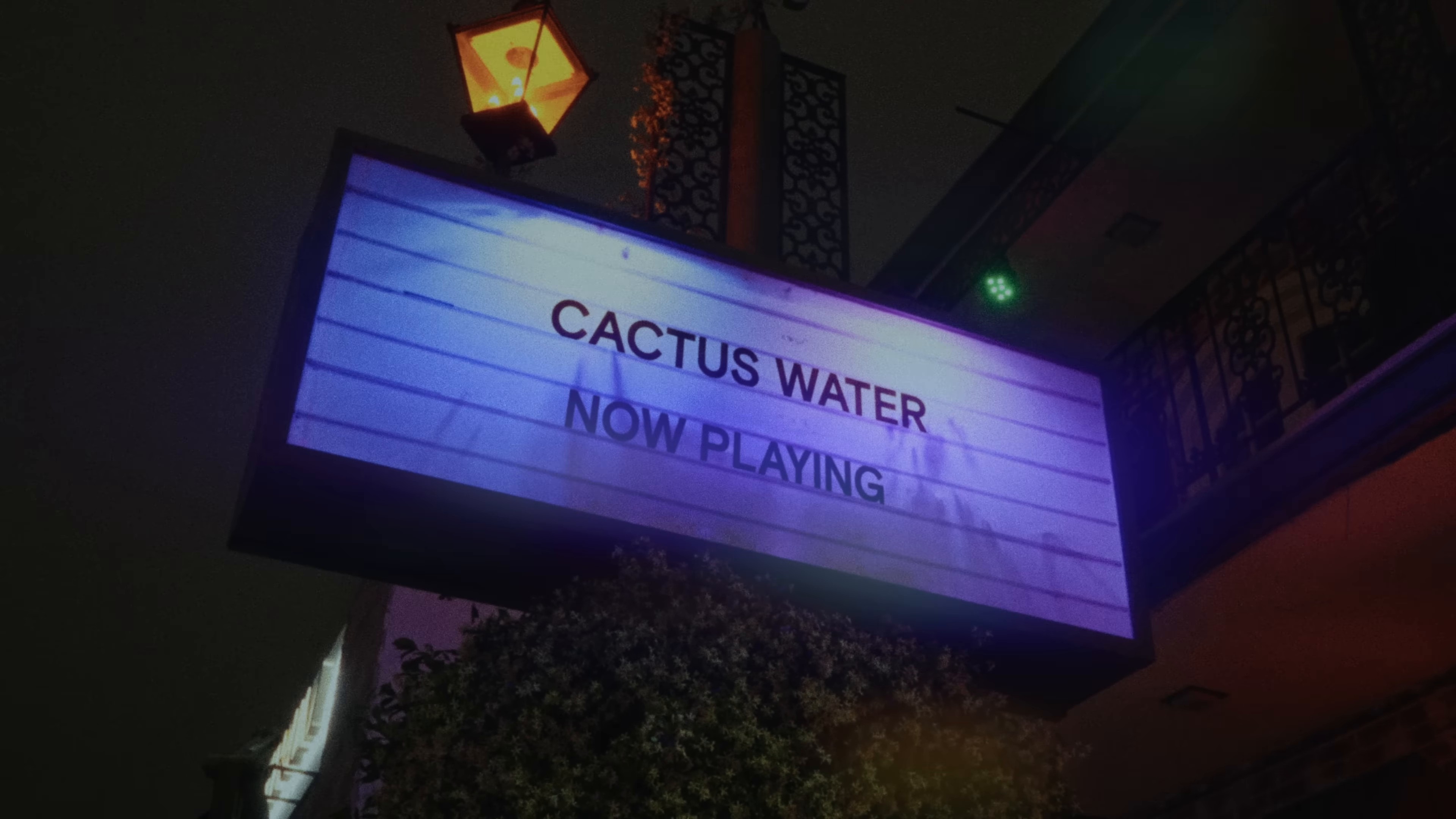 Cactus Water (2024) —  shot,  lighting