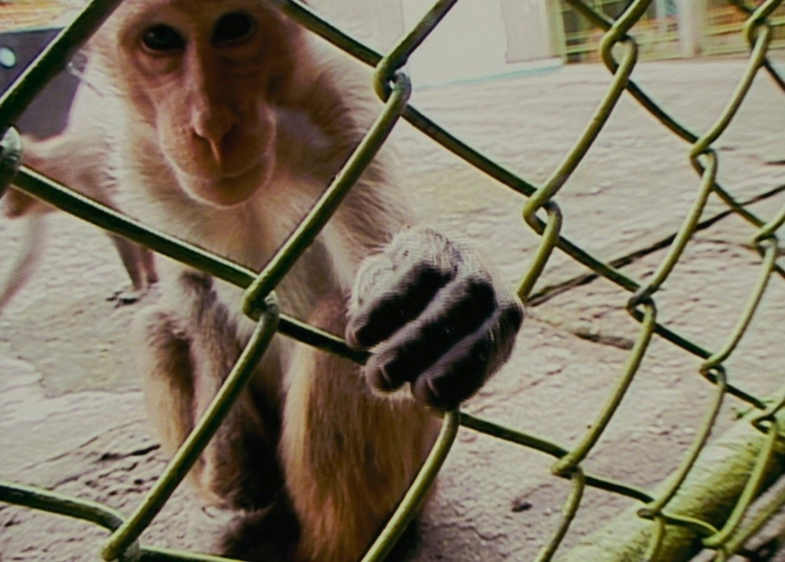 Ritual (2000) —  shot,  lighting