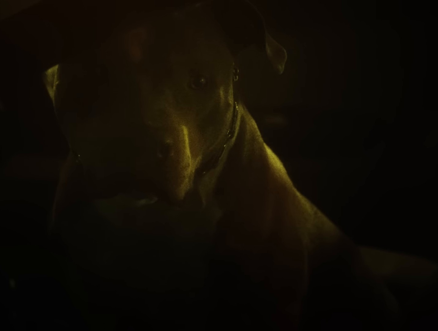 DISCONNECT! (2024) —  shot,  lighting