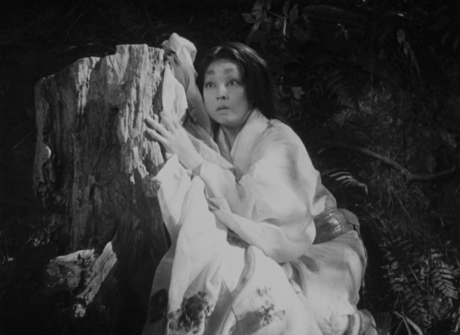 Rashomon (1950) —  shot,  lighting